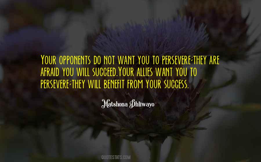 Perseverance Success Quotes #24280