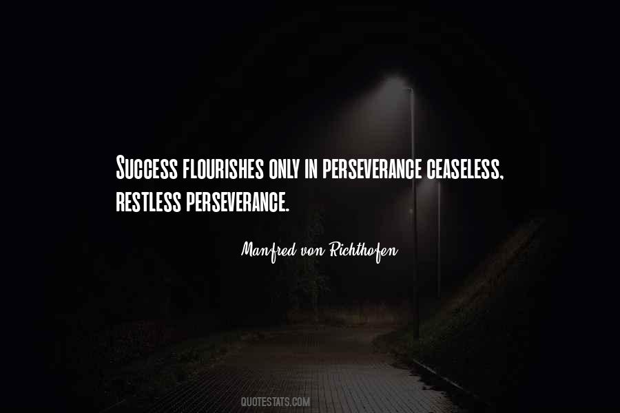 Perseverance Success Quotes #795063