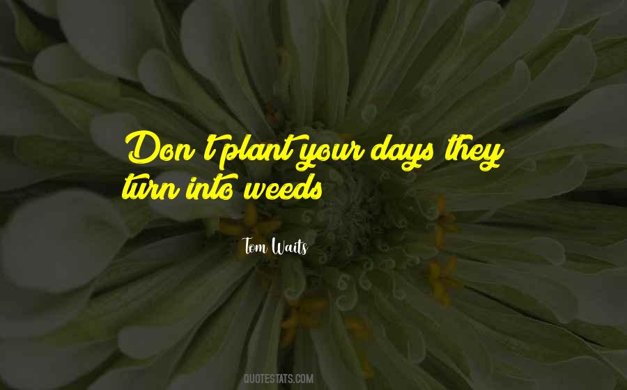 Don't Do Weed Quotes #246447