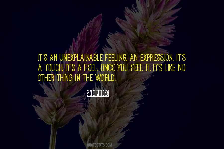 Some Feelings Are Unexplainable Quotes #530204
