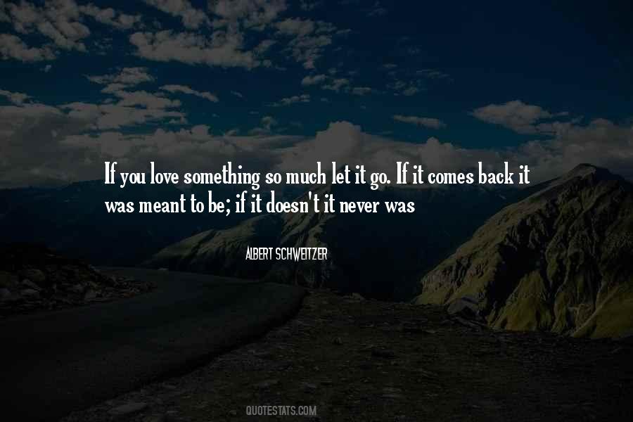 You Never Go Back Quotes #1768021
