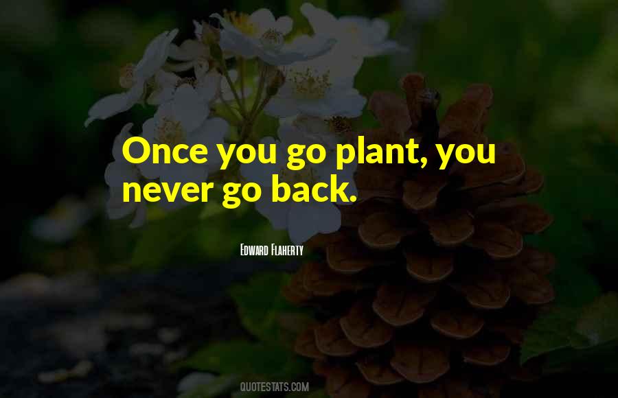 You Never Go Back Quotes #715090