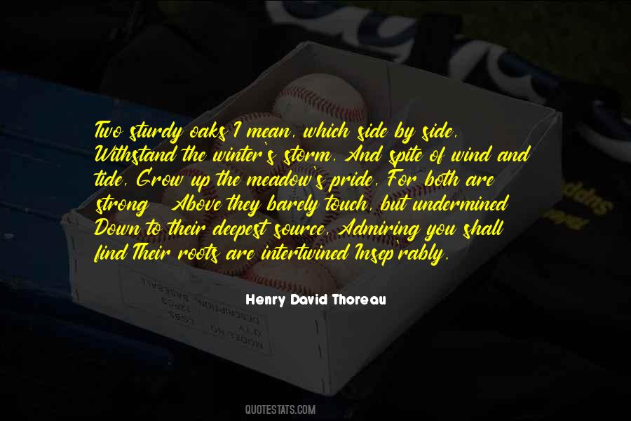 When The Roots Are Strong Quotes #816779