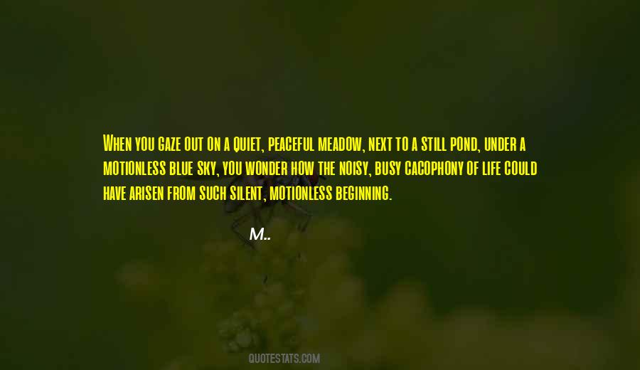 Still Calm Quotes #307626