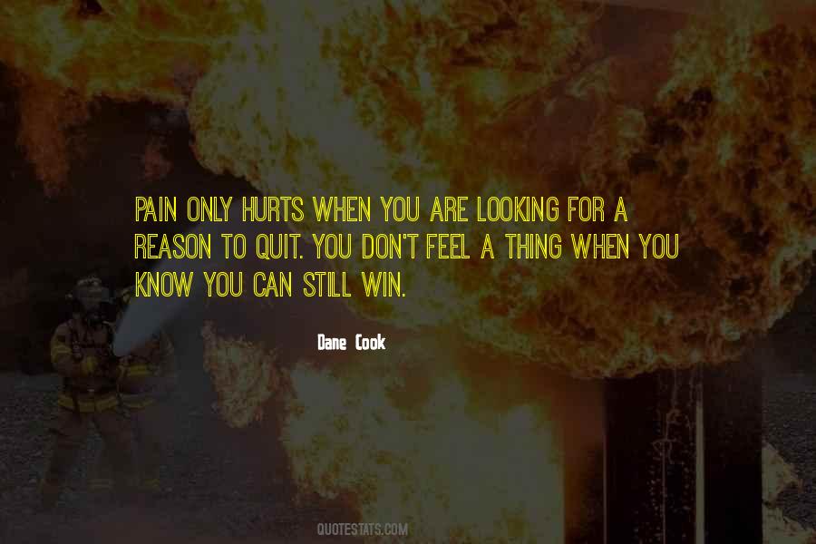 Don't Feel Hurt Quotes #254392