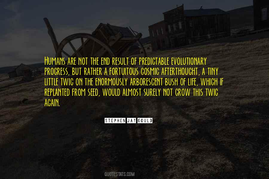 Tiny Seed Quotes #1560228