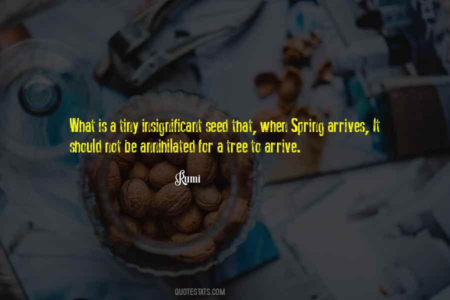 Tiny Seed Quotes #825588