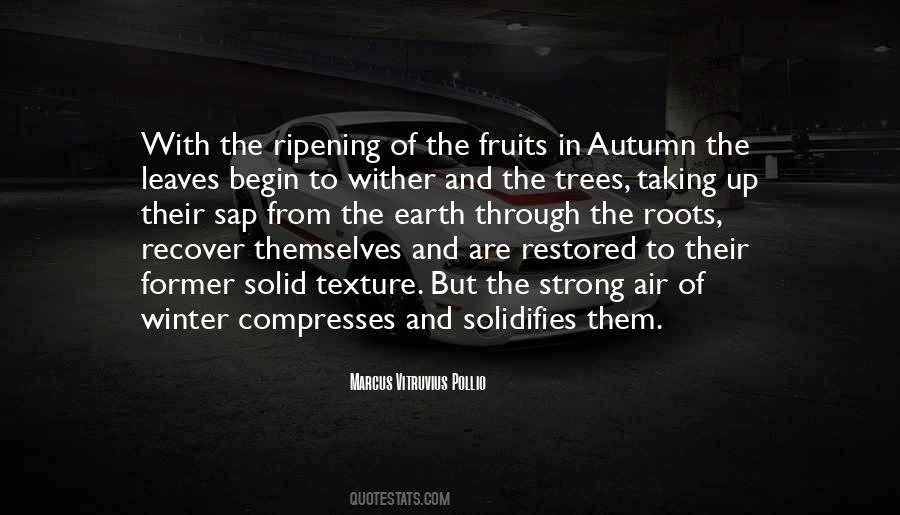 Quotes About Trees In Autumn #1837850