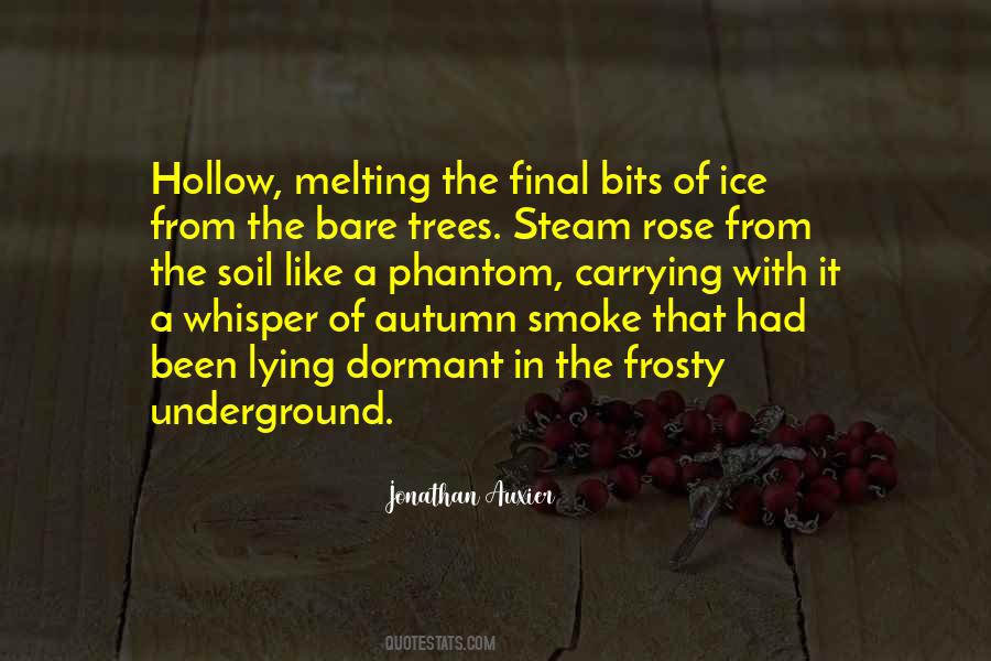 Quotes About Trees In Autumn #776119