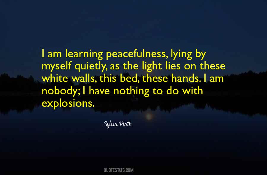 Bed Of Lies Quotes #937415