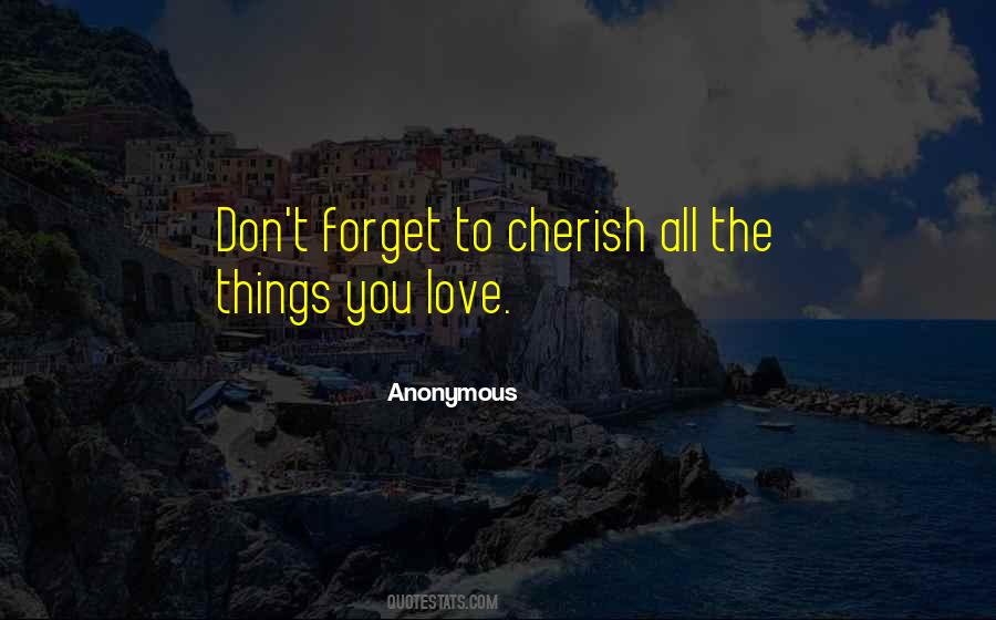 Don't Forget Love Quotes #890233