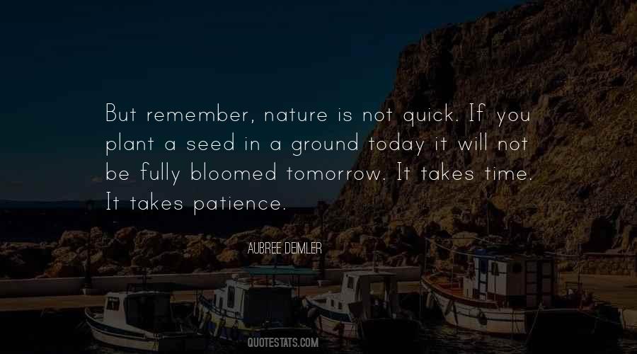 The Seed You Plant Today Quotes #1751000