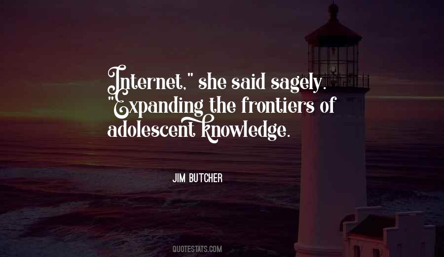 Possessive Mother In Law Quotes #1594046
