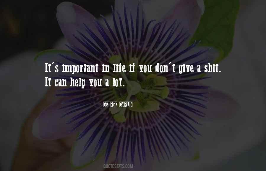 Don't Give A F Quotes #15712