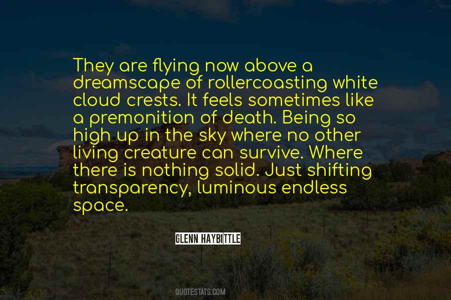 High Up In The Sky Quotes #489006