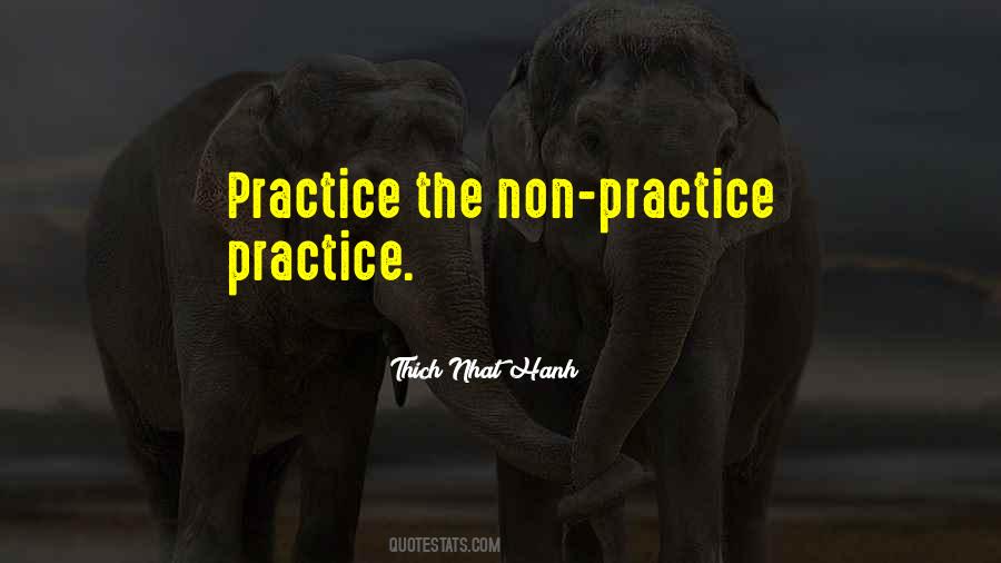 Practice Practice Quotes #1229103