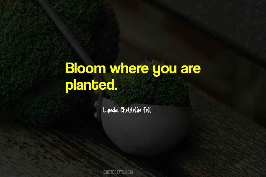 Bloom Where You Are Quotes #503519