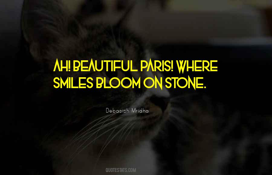 Beautiful Stone Quotes #870475