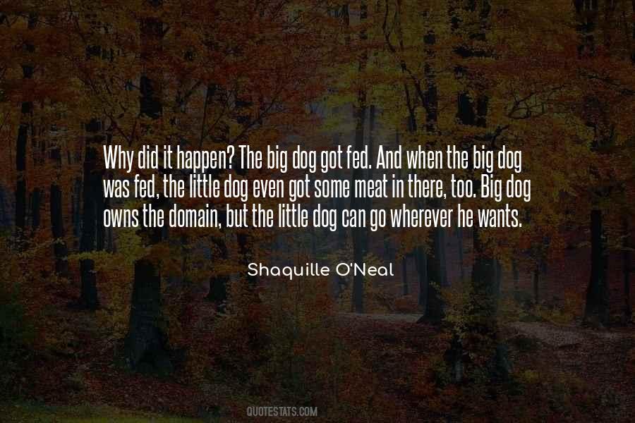 It Did Happen Quotes #949876