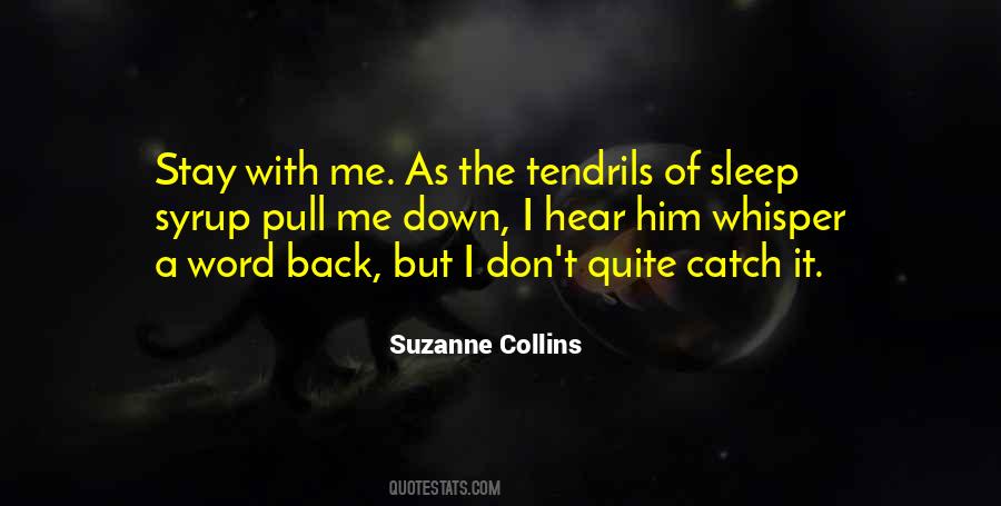 Don't Go Back To Sleep Quotes #234283