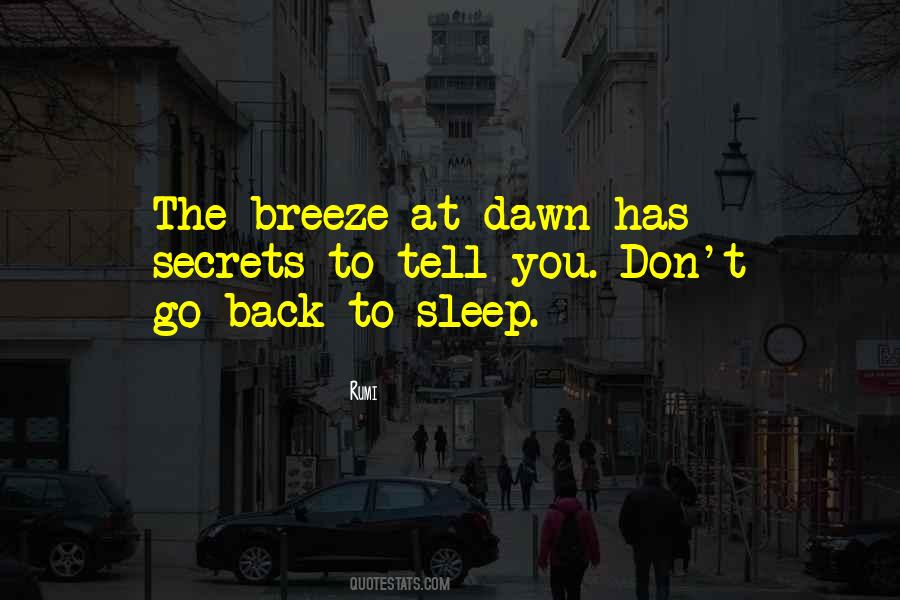 Don't Go Back To Sleep Quotes #658373