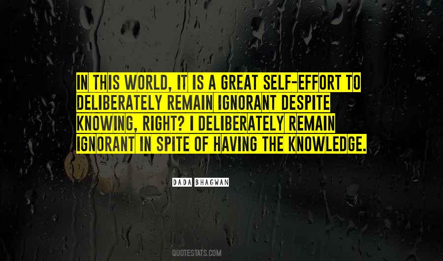 Having Knowledge Quotes #1774411