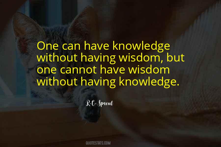 Having Knowledge Quotes #826343