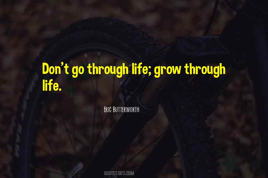 Don't Go Through Life Quotes #579403