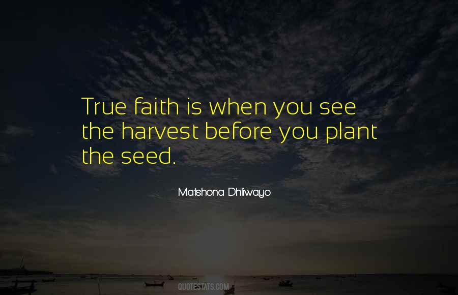 What You Plant Is What You Harvest Quotes #1071212