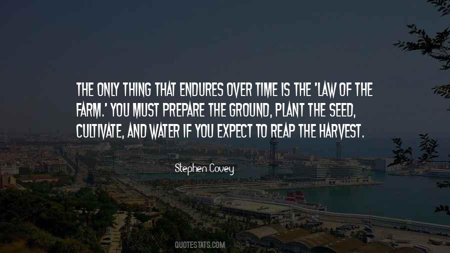 What You Plant Is What You Harvest Quotes #1389427