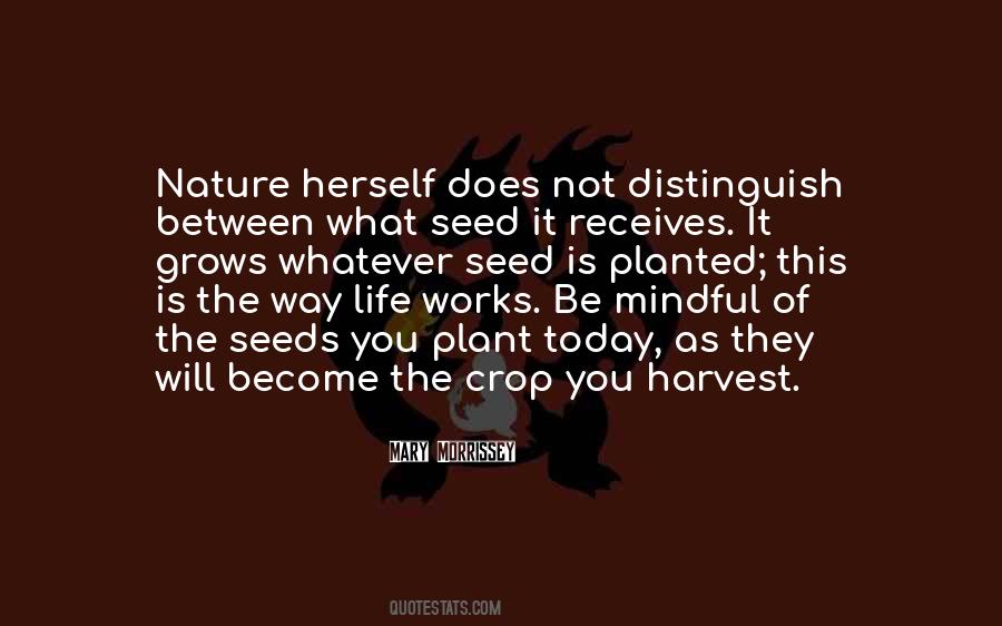 What You Plant Is What You Harvest Quotes #1454983