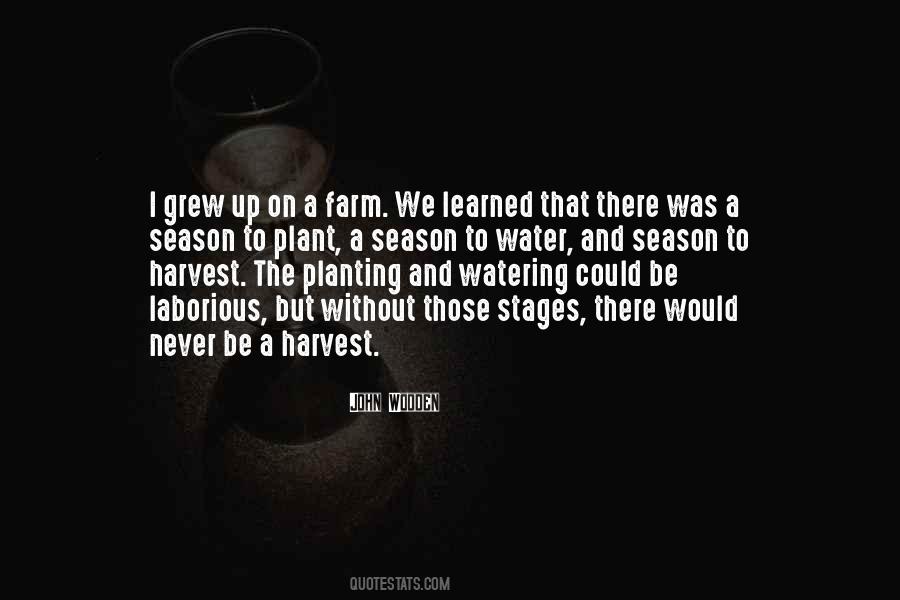 What You Plant Is What You Harvest Quotes #1581675