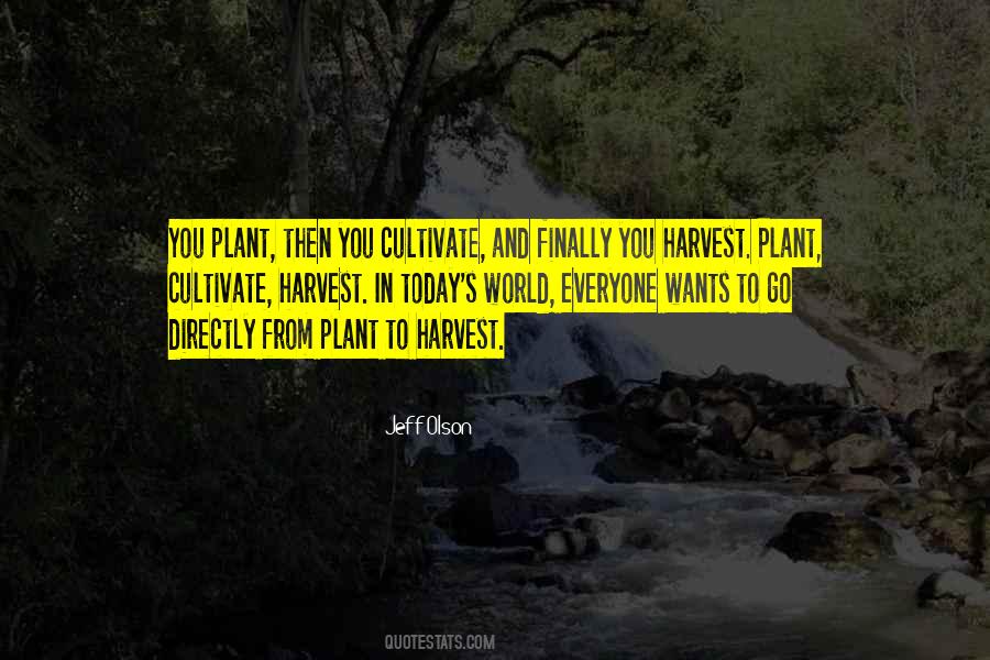 What You Plant Is What You Harvest Quotes #550836