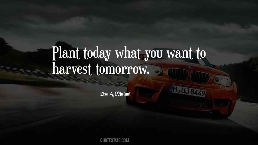 What You Plant Is What You Harvest Quotes #863005