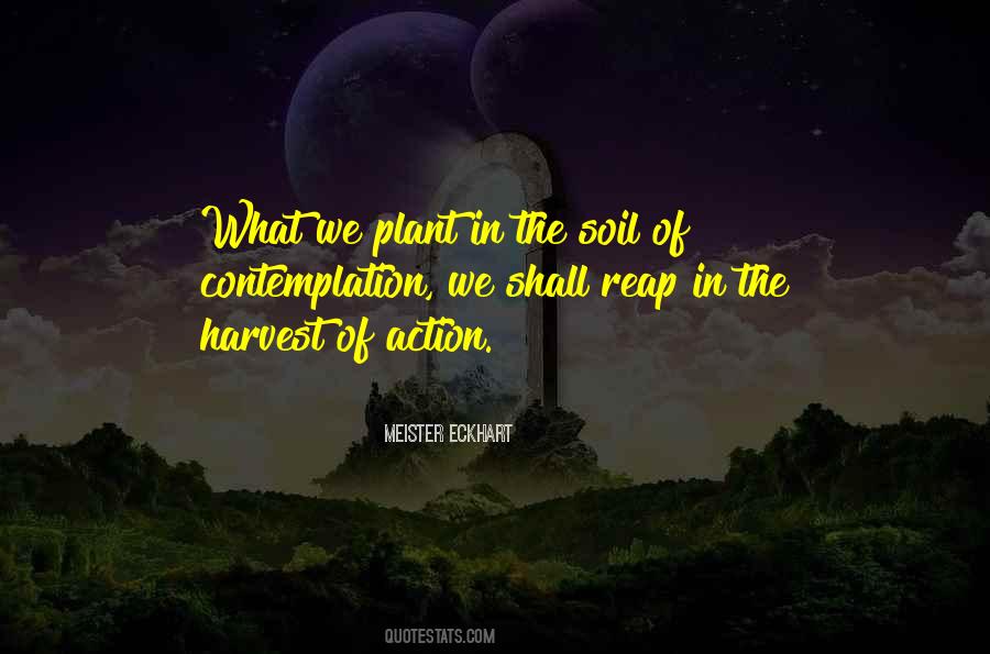 What You Plant Is What You Harvest Quotes #936882