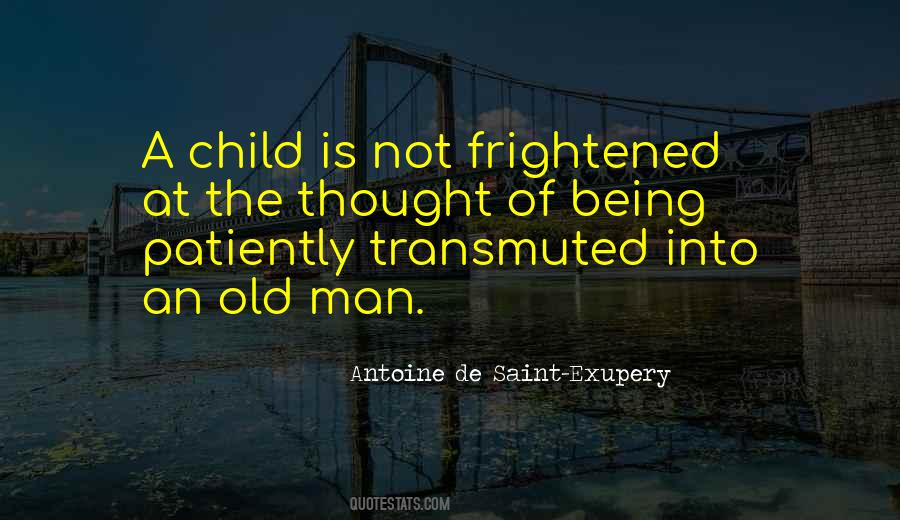 Yet Who Would Have Thought The Old Man Quotes #1863693