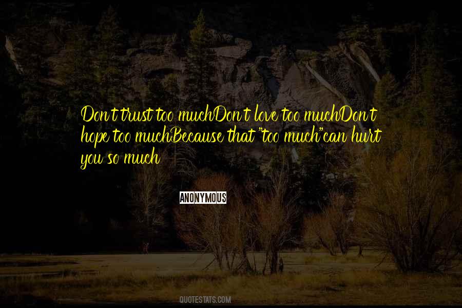 Don't Hurt Someone You Love Quotes #317076