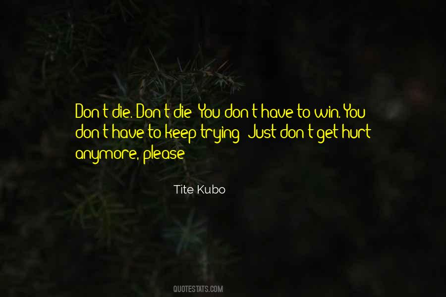 I Will Not Let You Hurt Me Anymore Quotes #560288