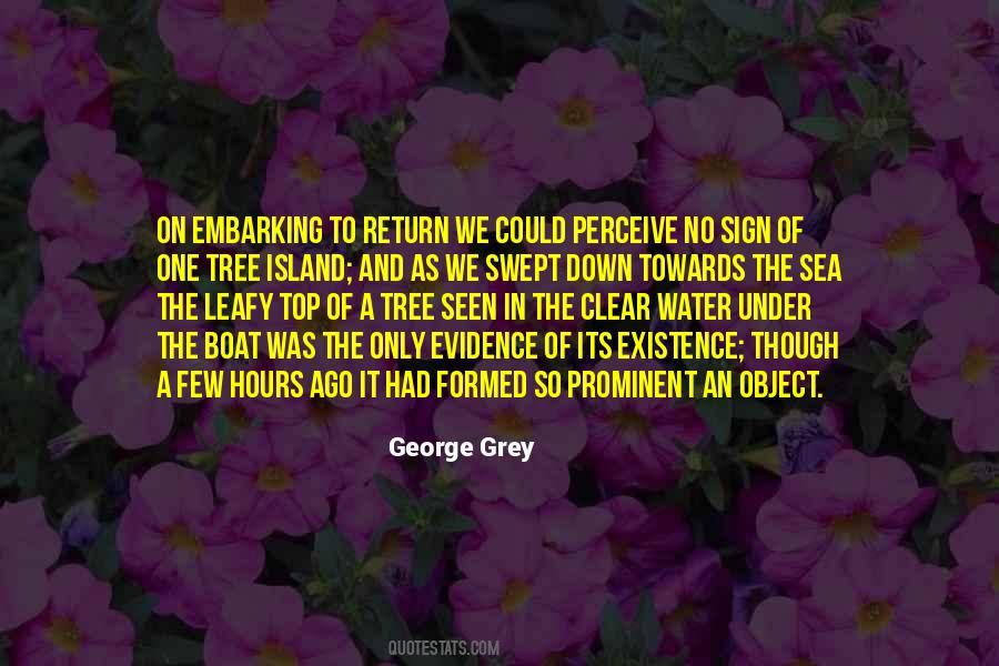 Water Island Quotes #964693