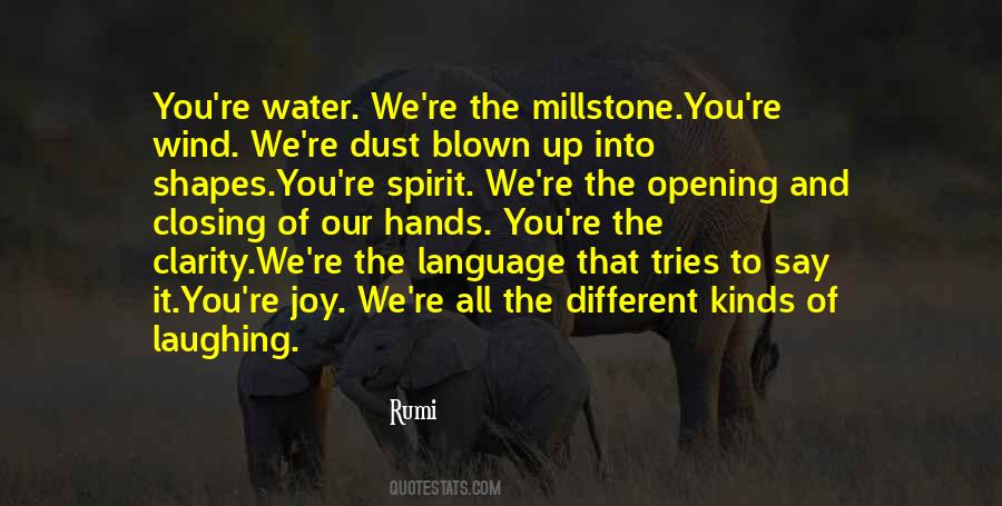 Water Rumi Quotes #1164302