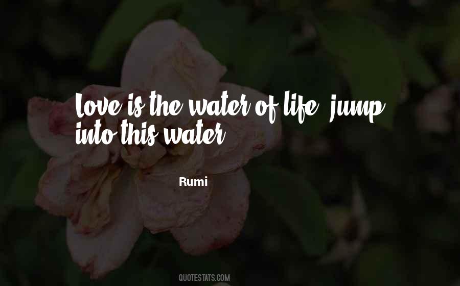 Water Rumi Quotes #1445363