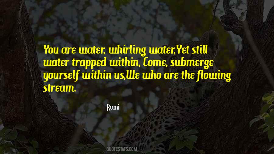 Water Rumi Quotes #1727474