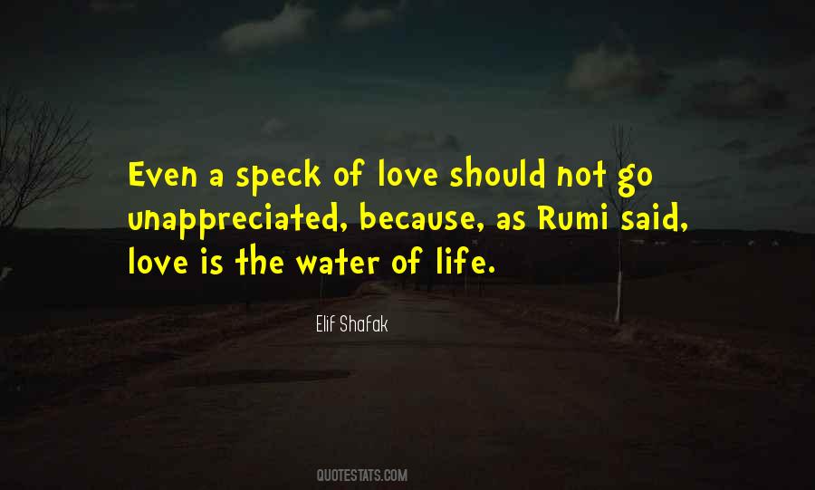 Water Rumi Quotes #30136