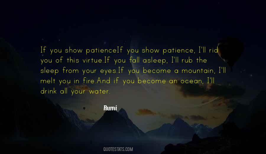 Water Rumi Quotes #46968