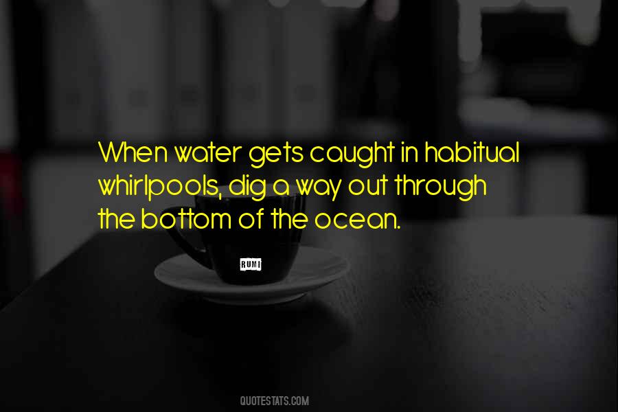 Water Rumi Quotes #500770