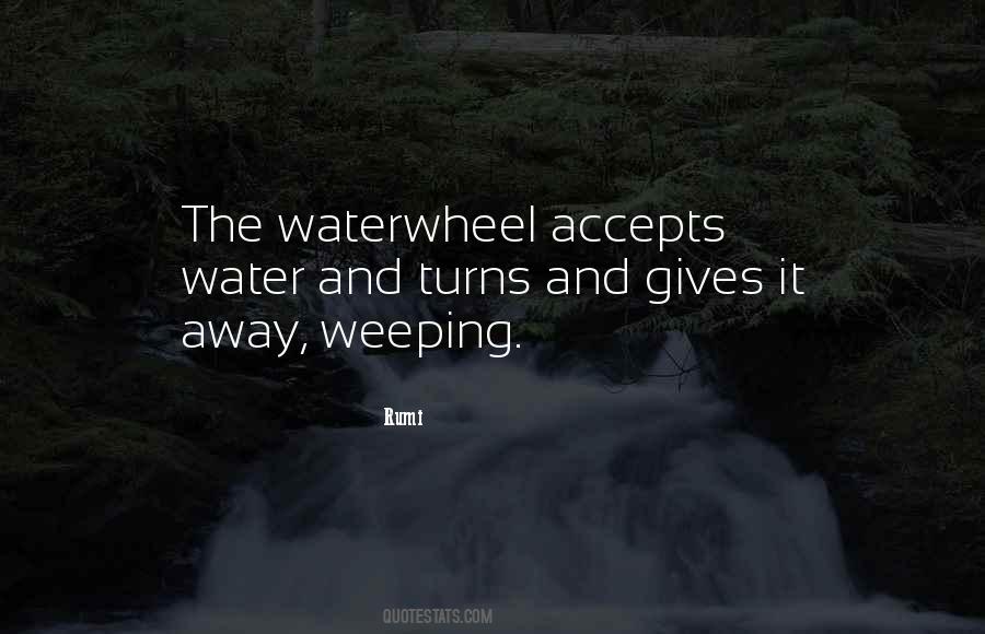 Water Rumi Quotes #509091