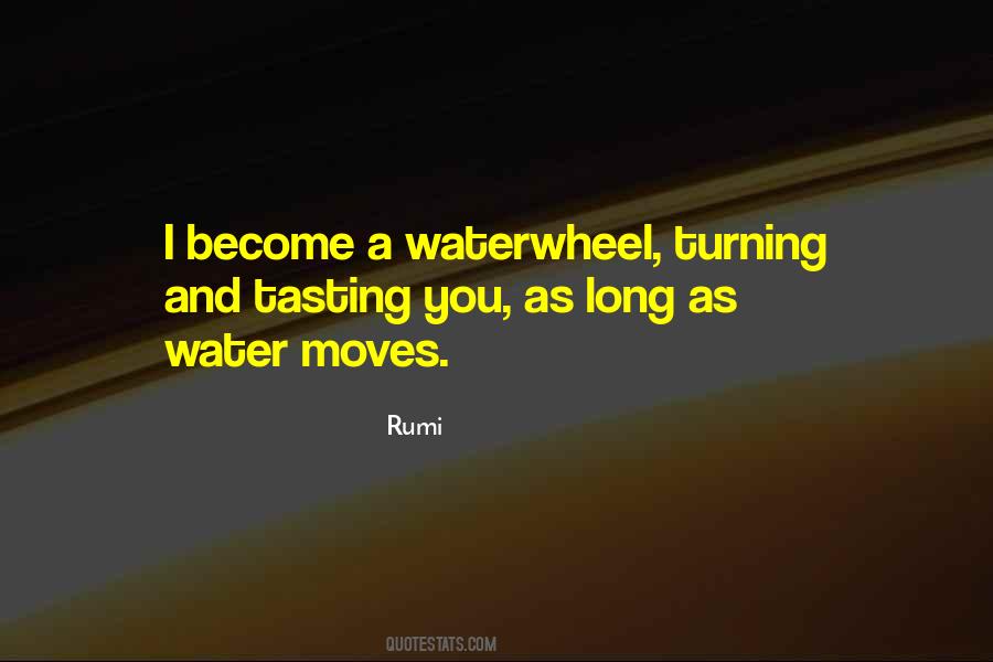 Water Rumi Quotes #69390