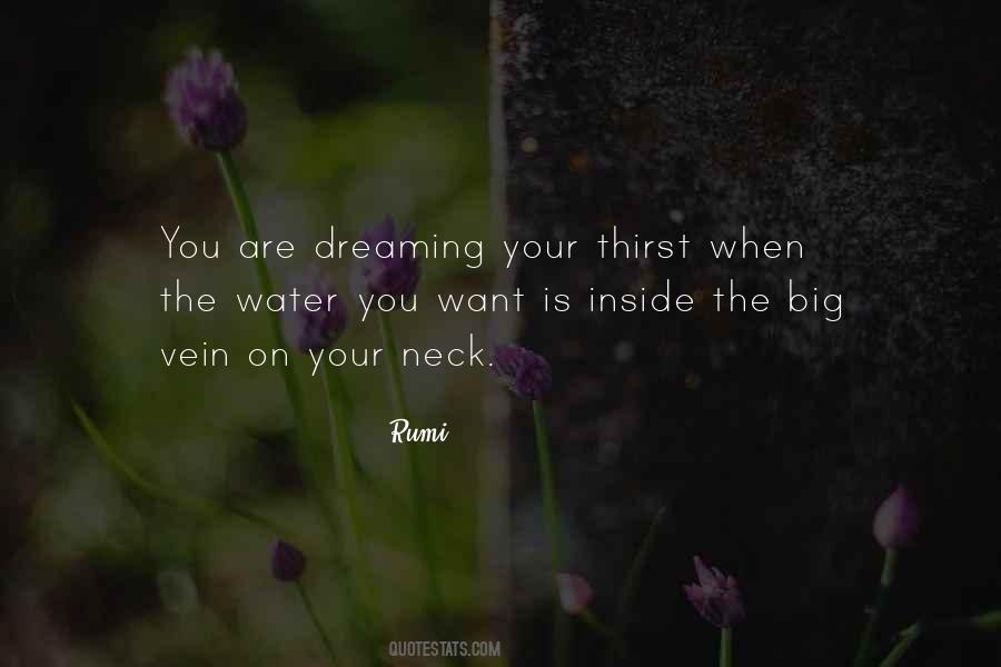 Water Rumi Quotes #936543