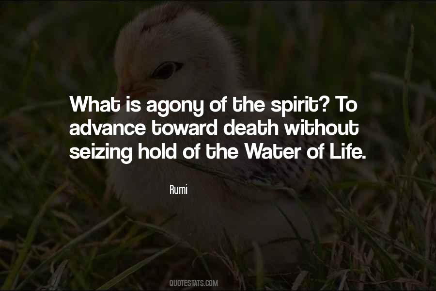 Water Rumi Quotes #980095