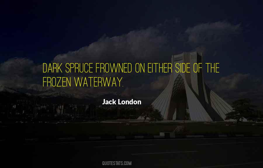 Dark Cold Quotes #240989